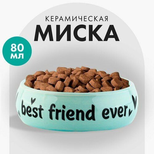 Миска керамическая Best friend, 80 мл, для грызунов