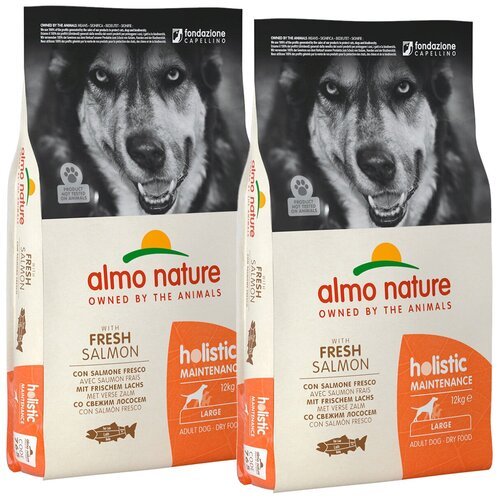 ALMO NATURE ADULT DOG LARGE & SALMON для взрослых собак крупных пород с лососем (12 + 12 кг)