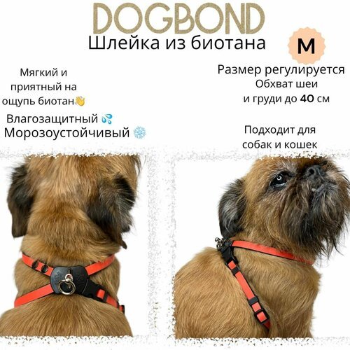 Шлейка Dogbond 'Dogs Life' влагозащитная из биотана для собак малых пород и кошек