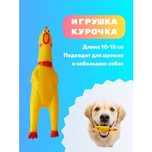 Игрушка курочка для собак