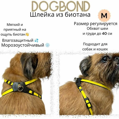 Шлейка Dogbond 'Dogs Life' влагозащитная из биотана для собак малых пород и кошек