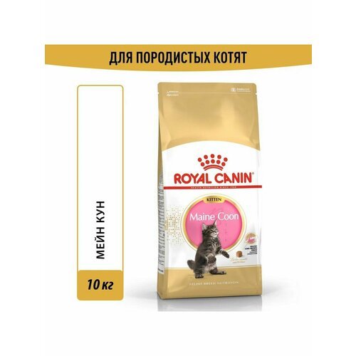 Сухой корм Royal Canin Maine Coon Kitten для котят 10кг