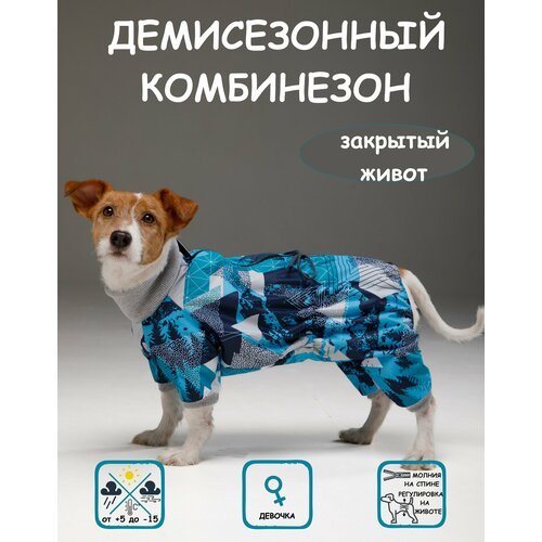 Комбинезон для собак DOGMODA Классик девочка мята размер 5