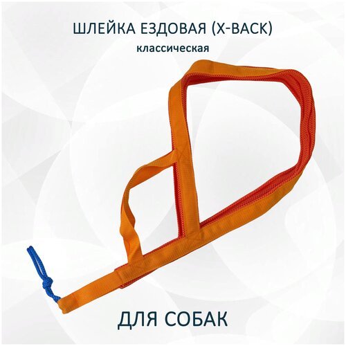 Шлейка ездовая totemica X-Back, классическая оранжевая 'Апельсин' XS