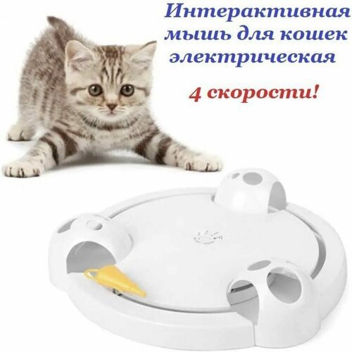 Интерактивная игрушка в виде мыши для кошек.