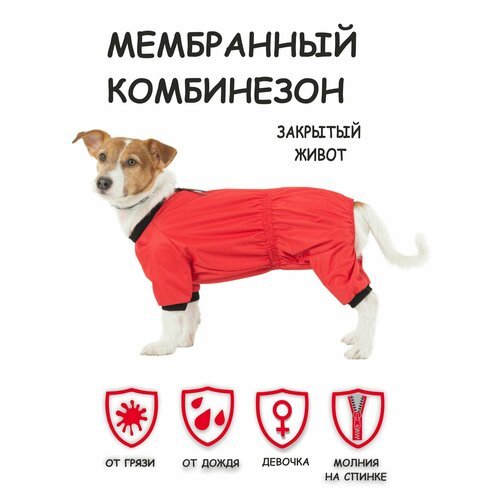 Комбинезон для собак Мартин Dogmoda красный девочка размер 5