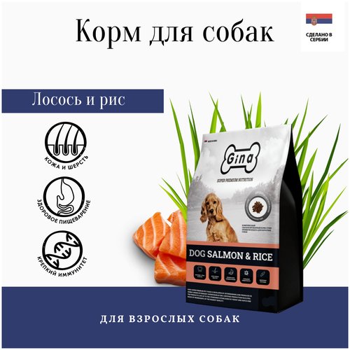 Gina корм для взрослых собак с лососем и рисом (dog salmon and rice Serbia)