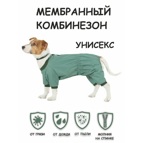 Комбинезон для собак Мартин Dogmoda унисекс мята размер 3