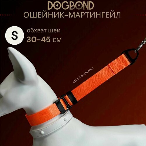 Ошейник мартингейл/полуудавка Dogbond для собак