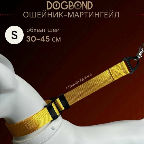 Ошейник мартингейл/полуудавка Dogbond для собак