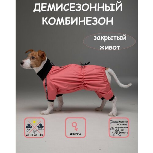 Комбинезон для собак DOGMODA Классик девочка коралл размер 4