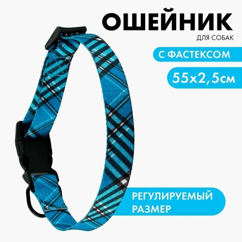 Ошейник «Джентльмен», застёжка - фастекс, 2.5 см, 40-55 см