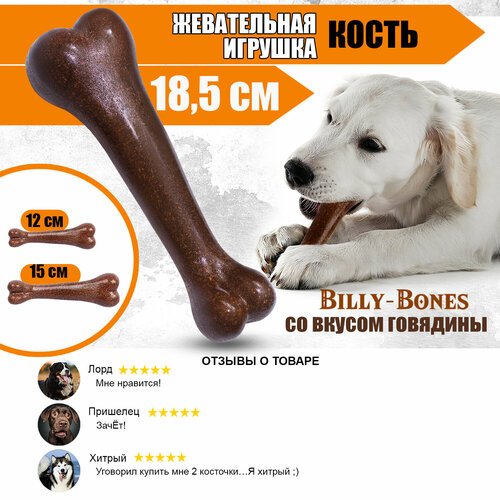 Игрушка кость для собак со вкусом говядины, 18,5 см. Коллекция 'BILLY-BONES', Priopetko