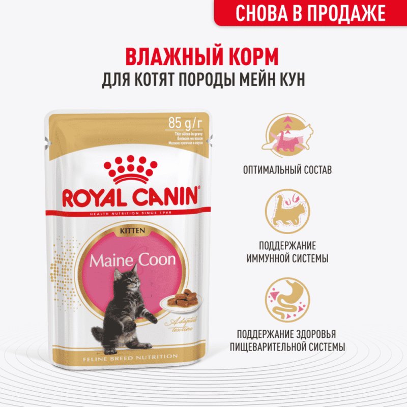 Корм для котят ROYAL CANIN Kitten Мейн Кун, в соусе пауч 85г