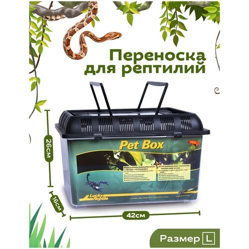 Переноска для рептилий LUCKY REPTILE 'Pet Box Large', 42x26x16см (Германия)